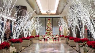 Hilton Americas - Houston - Houston - 1