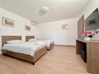Pensiunea Damir Arad - Arad - 5
