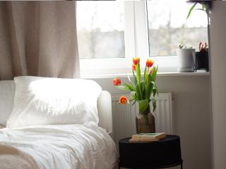 Vistula Nest Two Bedroom Apartment Near Kazimierz - Krakow - 6