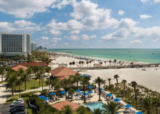 Hilton Clearwater Beach Resort & Spa - Clearwater Beach - 6