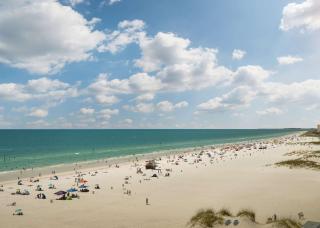 Hilton Clearwater Beach Resort & Spa - Clearwater Beach - 5