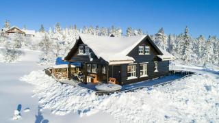 Family Cabin With A View At Kyrkjebygdheia - Fjone - 9