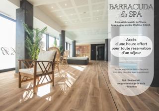 Le Barracuda & Spa, Centre Port, pieds dans l'eau, vue mer - Brest - 9