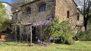 Podere Bellavista - Monterotondo - 0