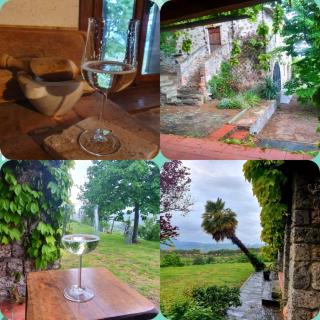 Podere Bellavista - Monterotondo - 7