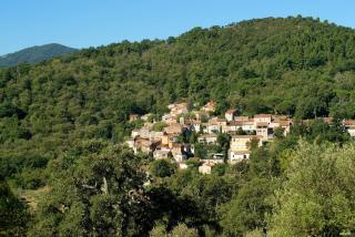 Location de charme Var - Les Mayons - 7