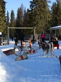 Le Paradis Blanc Sauna & Spa - 2