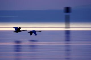 Ferienwohnungen am Mantelhafen - Typ 2 - 9