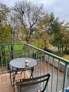 Elegant & Peaceful - Private Parking - Mulhouse - 9