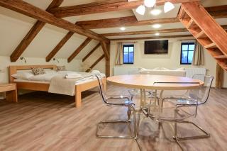 Apartmány Christian 17 - Karlovy Vary - 1