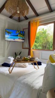 La Maison Caraïbes - Sainte-Anne - 1