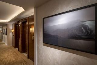 Waldorf Astoria Beverly Hills - Los Angeles - 1