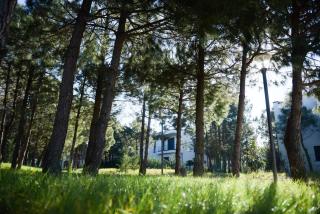 Apartment by the sea - 7