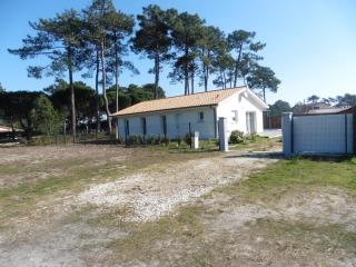 bee free - Montalivet-les-Bains - 6