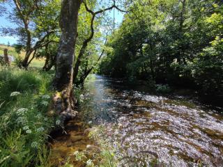 Lake Vyrnwy Campsite - Llanwddyn - 3