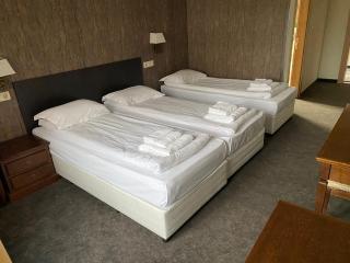 Hotel Domenic FREE PARKING - Plovdiv - 4