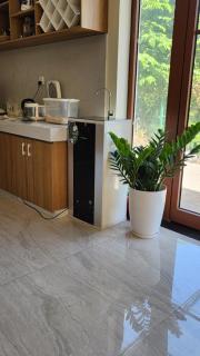 Coconut Garden H - 7