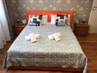 Stella apartment 10 minutes from Venice - Venice - 0