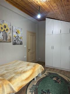 Vasil's Apartment - Gjirokastër - 2