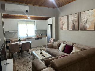 Vasil's Apartment - Gjirokastër - 0