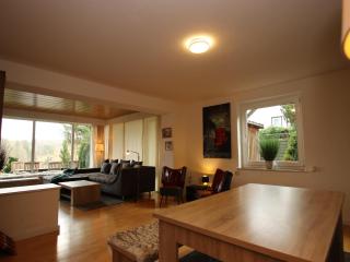 Apartment in Altenau near Harz Mountains - Altenau - 2