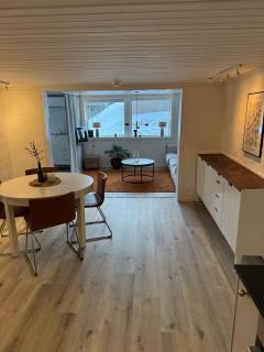 Nyrenoverad 2a i suterrängplan - Bankeryd - 2