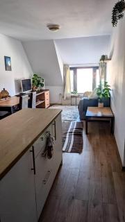 Modern & Cozy 2-BR Apartment - Bansko - 3