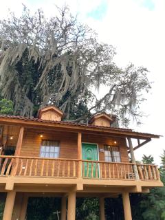 Cedro House Constanza - Constanza - 7