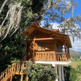 Cedro House Constanza - Constanza - 3