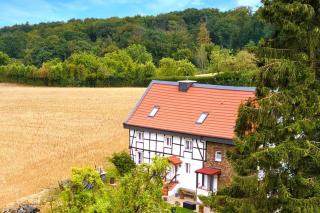 Familienfreundliche grüne Oase im Essener Süden - - 0