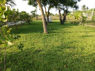 Genesis Farm house kimbiji - Dar es Salaam - 4