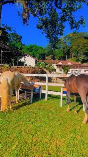Hotel Fazenda Jequitibá - Nova Friburgo - 9