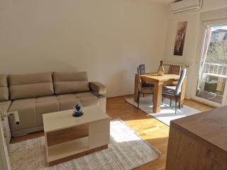 City Centar Nest- Apartman na dan u centru Novog Pazara - Novi Pazar - 8