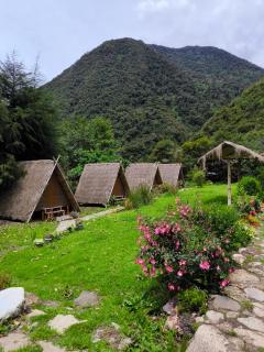 Ecosereno - 1