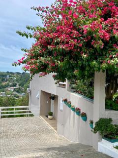 Casa Zanata - 8