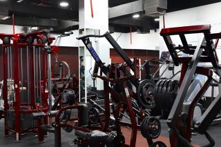 Luxury Stay in Al Reef Studio with King Bed - Abu Dhabi - 7
