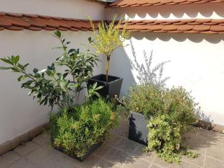 Old Town Apartment - Terrace & Parking - Prag - 5