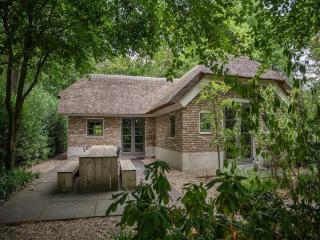Luxury Family Farmhouse for Groups - Ermelo - 3