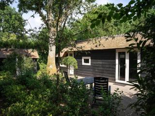 Cottage in Veluwe near Speulderbos Forest - 2