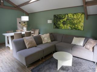 Cottage for 6 in Ermelo near nature park - Ermelo - 9