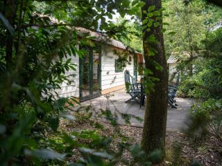 Cottage for 6 in Ermelo near nature park - Ermelo - 3