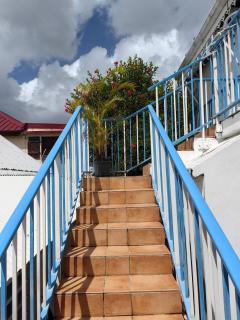 Le cocotier bleu - Sainte-Anne - 7