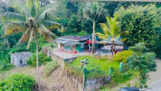 Greenwoods Munnar Unmarried Allowed - Munnar - 0