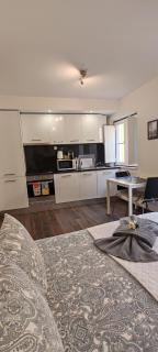 Studios of the Panteão, 2nd floor - Lisbona - 4