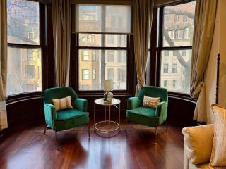 Spectacular Gilded Age 6 Bedroom Gold Coast Mansion with Deck - Chicago - 4