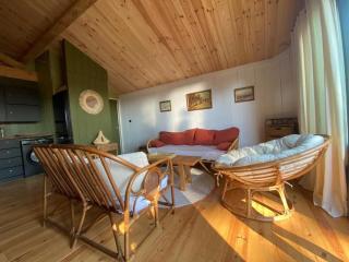 New wooden house 300 m from beach, forest, 1 to 11 people - Mimizan-Plage - 6