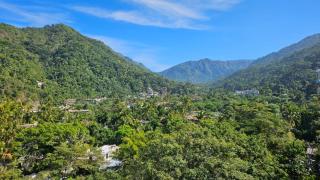 Casa Mismaloya Selva - 6