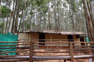 Jumanji the Jungle Home - Vattavada - 7