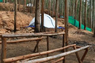 Jumanji the Jungle Home - Vattavada - 6