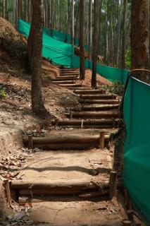 Jumanji the Jungle Home - 3